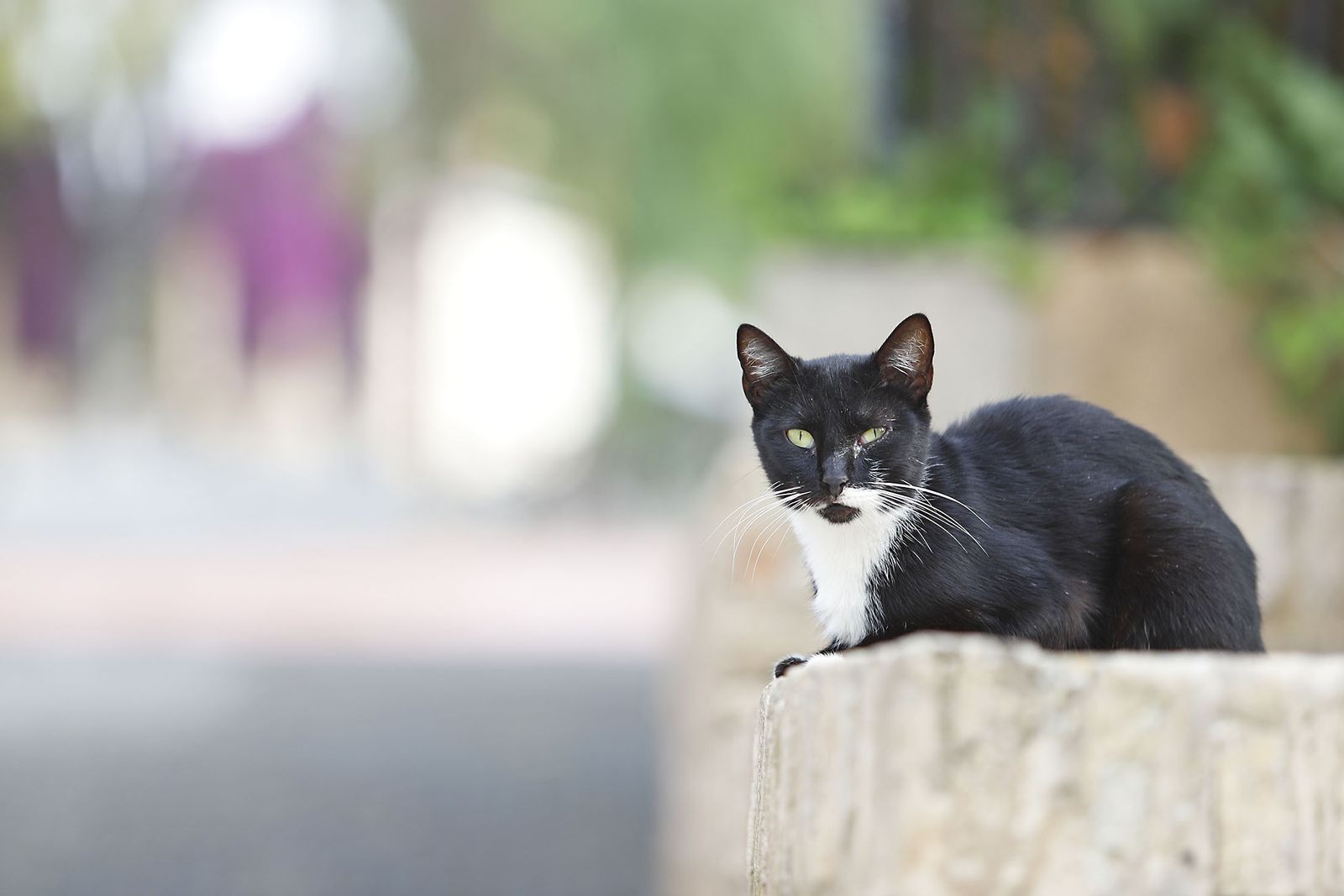 Las imágenes más destacadas del miércoles 18 de octubre en Huelva