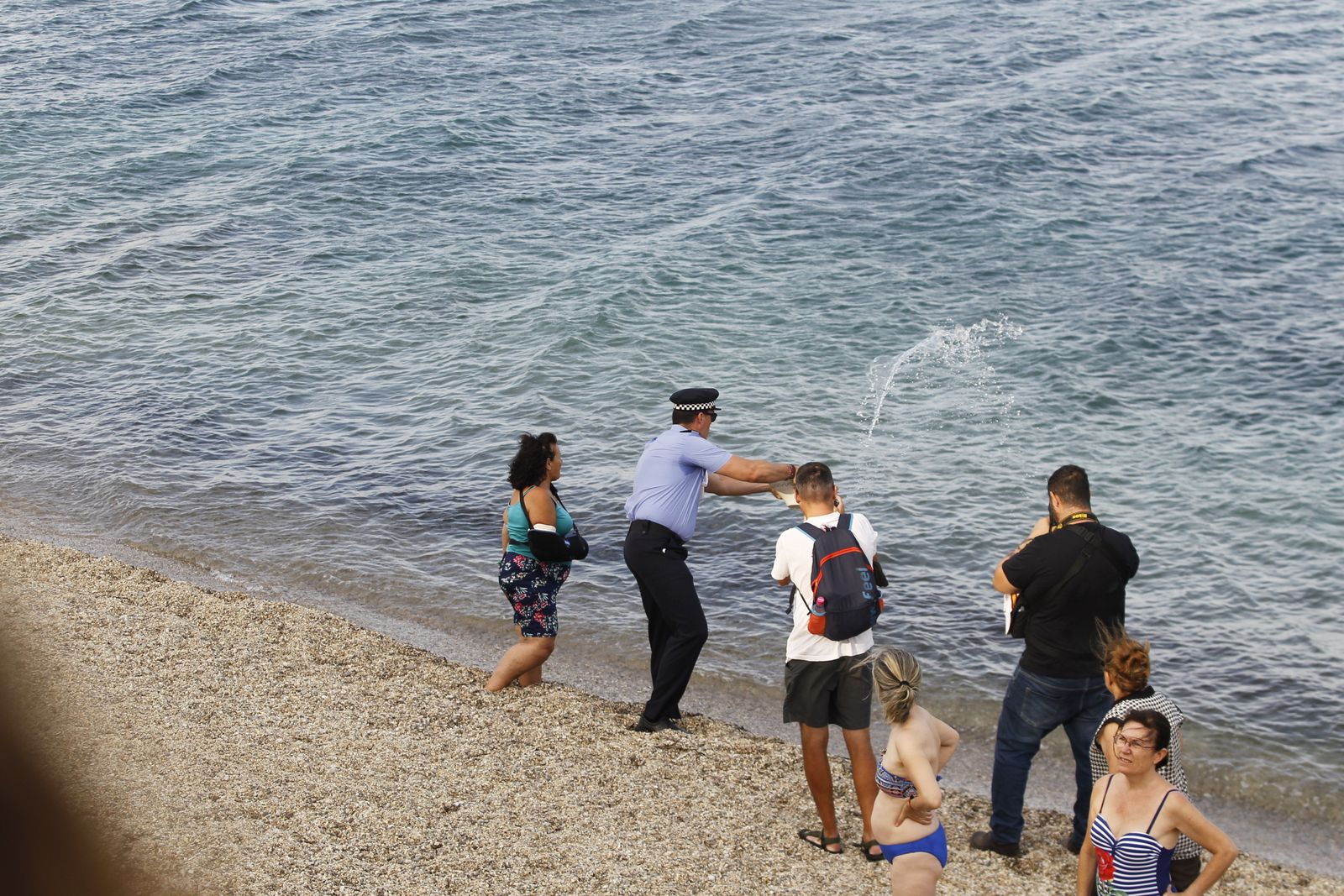 Fotogalería cucaña y procesión Fiestas Santa Ana Roquetas de Mar