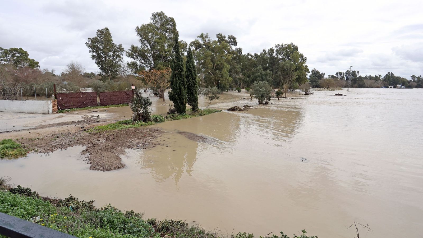 El Guadalete comienza a bajar su nivel poco a poco por la zona rural de Jerez