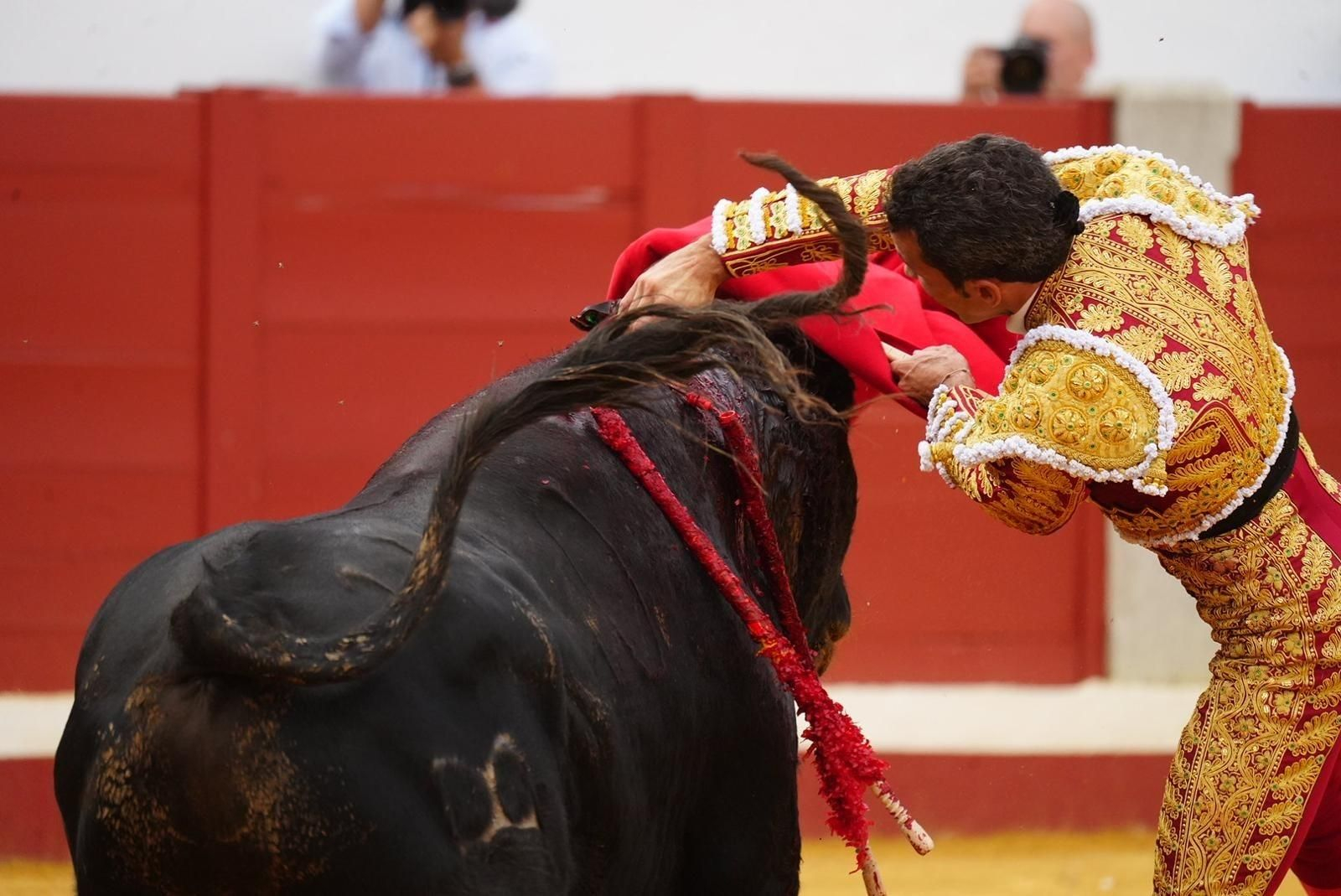 Las mejores imágenes de las corridas de toros de la Feria de Pozoblanco