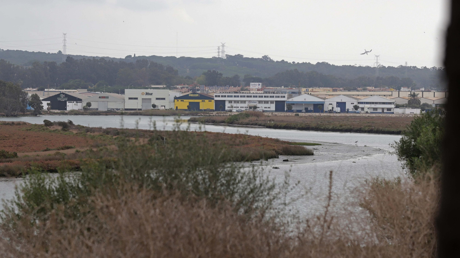 Fotos del parque del Torrejón en Algeciras