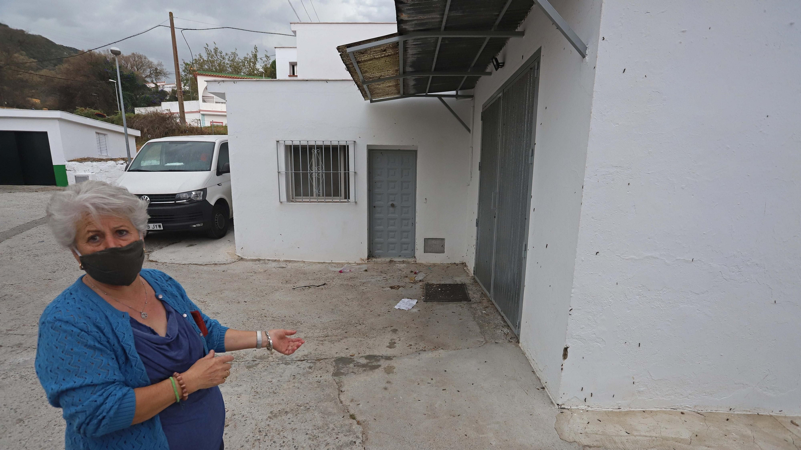 Brote de lagarta peluda en Pelayo