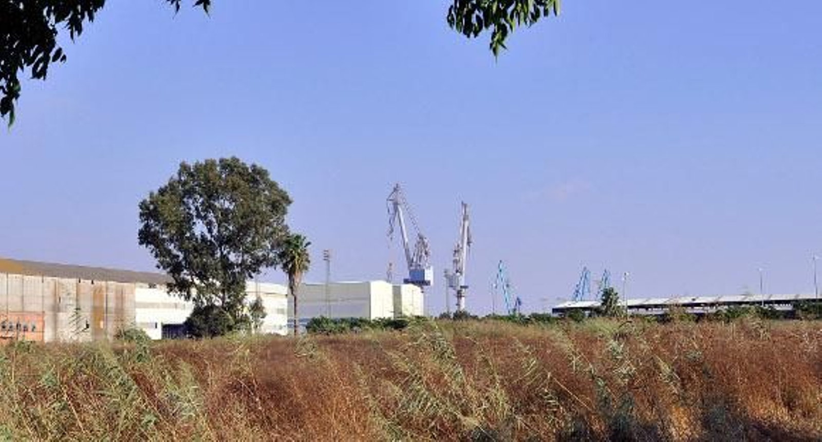 CEN compra la planta de Inabensa en Torrecuéllar