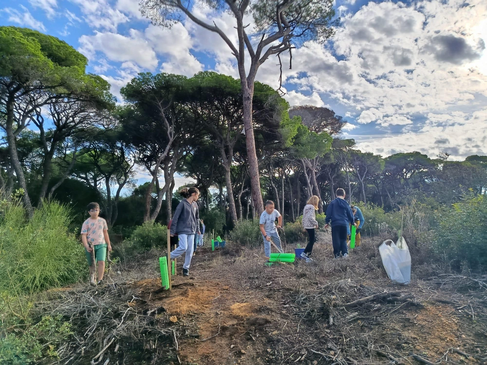 Segunda campaña de reforestación del Pinar de Las Canteras