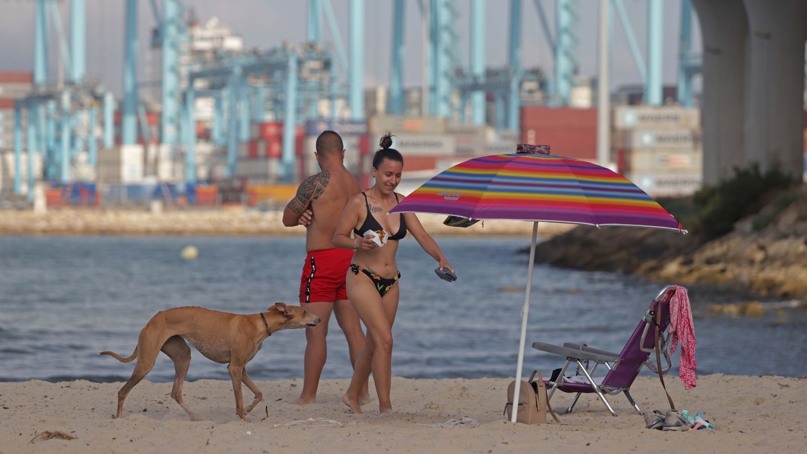 Fotos de la  la nueva zona de merendero y la playa canina en La Concha