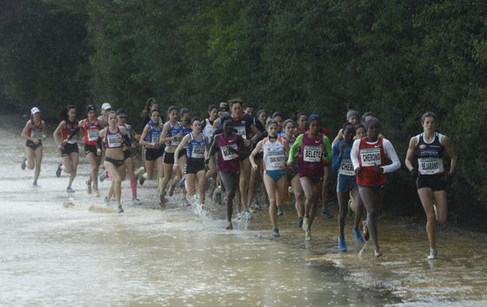 Foto: Jose Angel Garcia