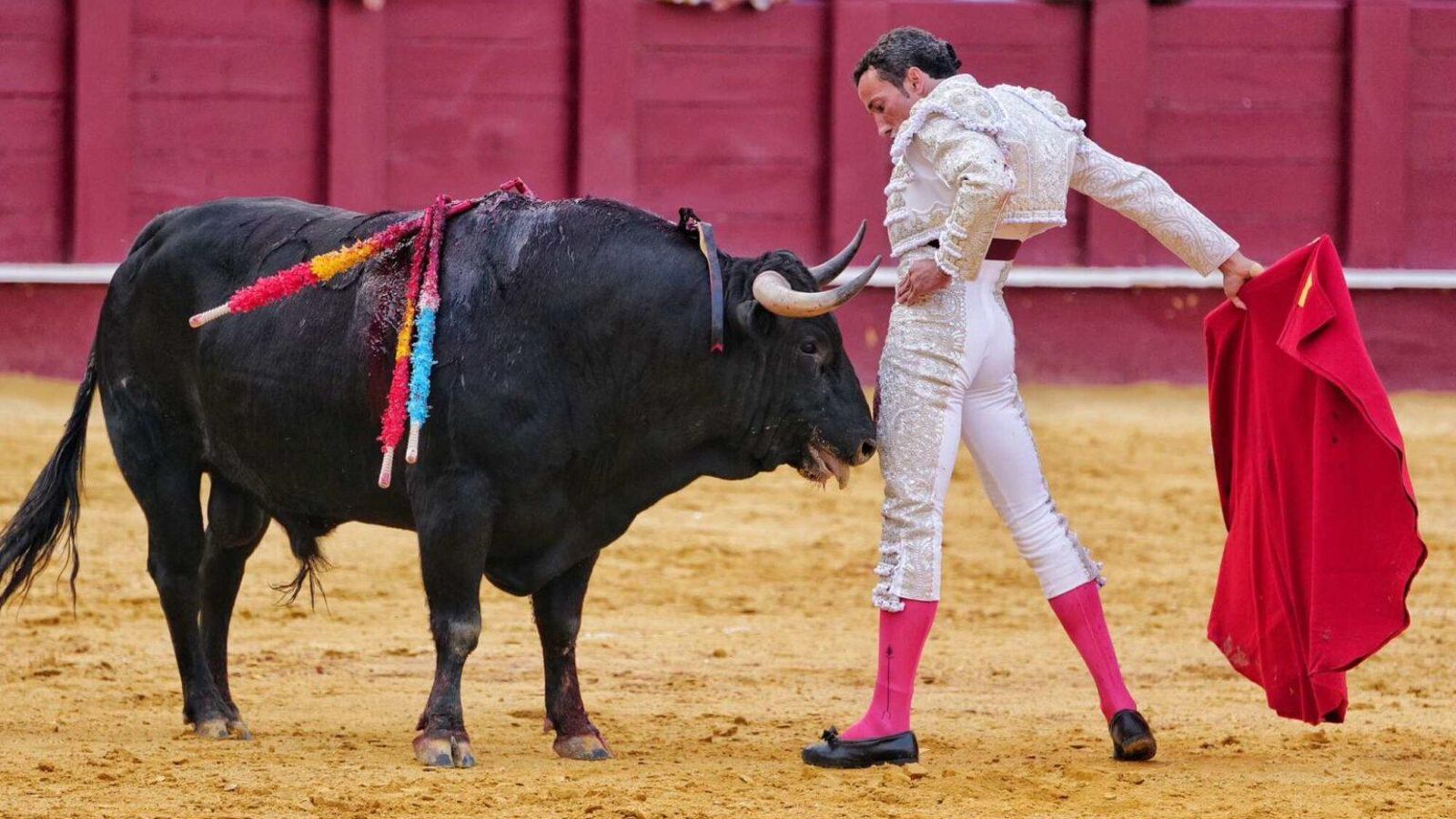 El torero David de Miranda.
