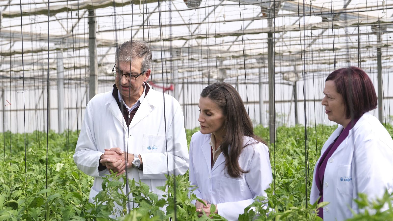 La visita de la reina Letizia a El Ejido, en imágenes