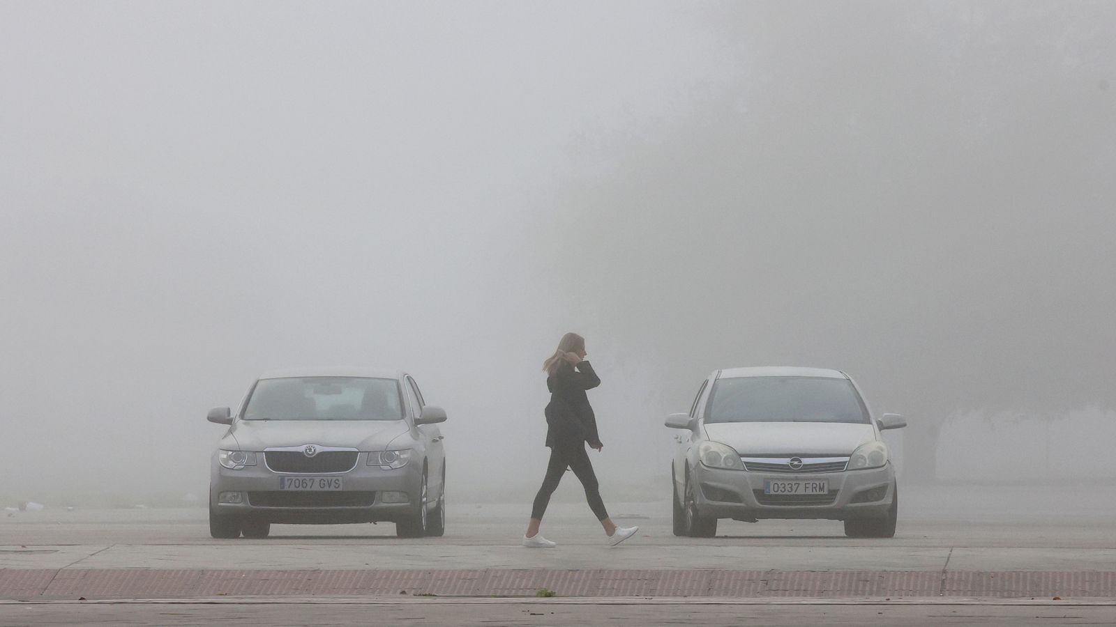 Mañana de niebla en Jerez