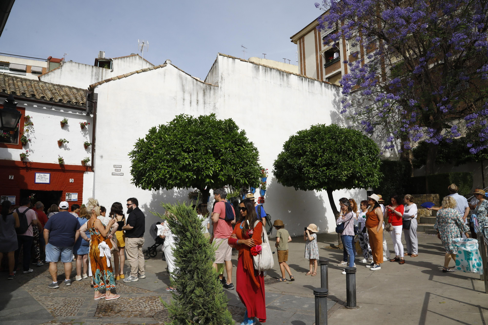 El primer día de Patios en Córdoba, en imágenes