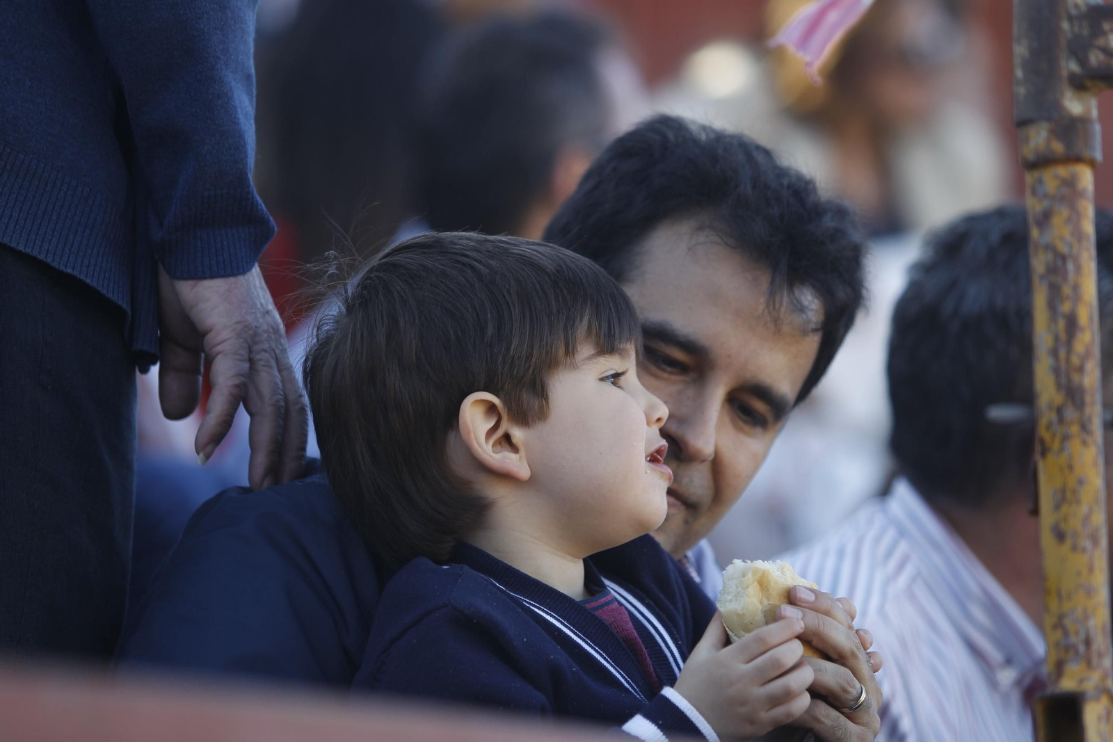 Fotogalería Novillada Fiestas de Abrucena
