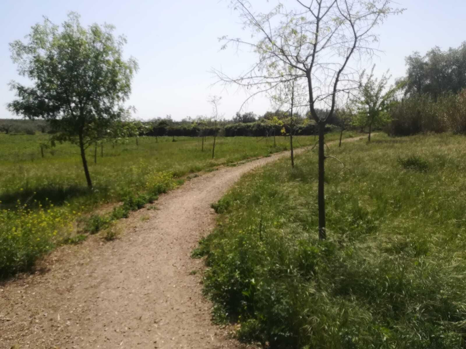 La ruta del Río Pudio por Espartinas, en imágenes