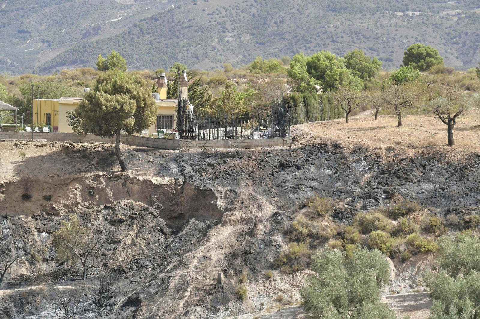 Las imágenes del incendio de Granada que causa terror en la provincia
