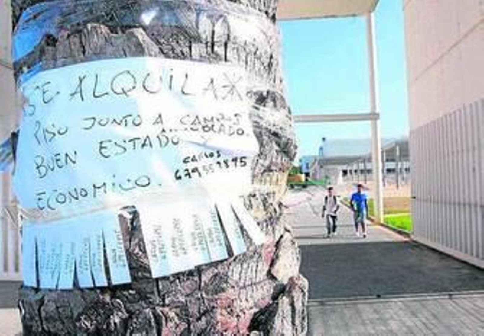 Imagen de un cartel de un alquiler a las puertas del campus.