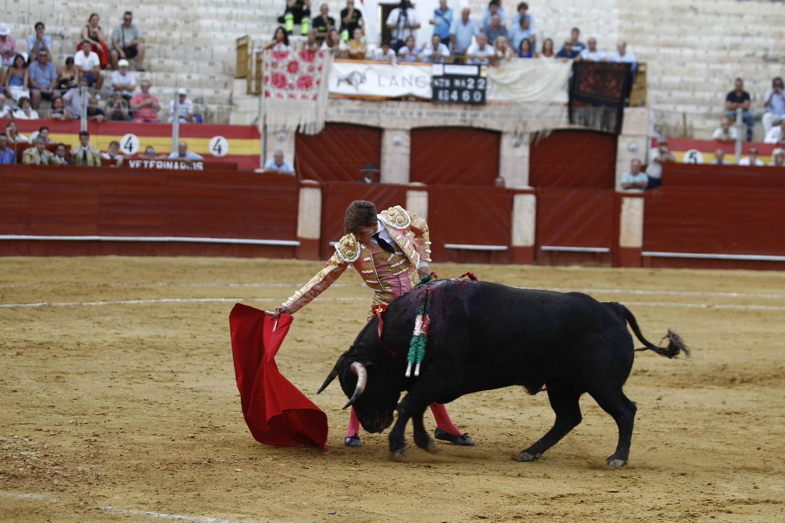 Imágenes de la novillada de la Feria de Almería 2025