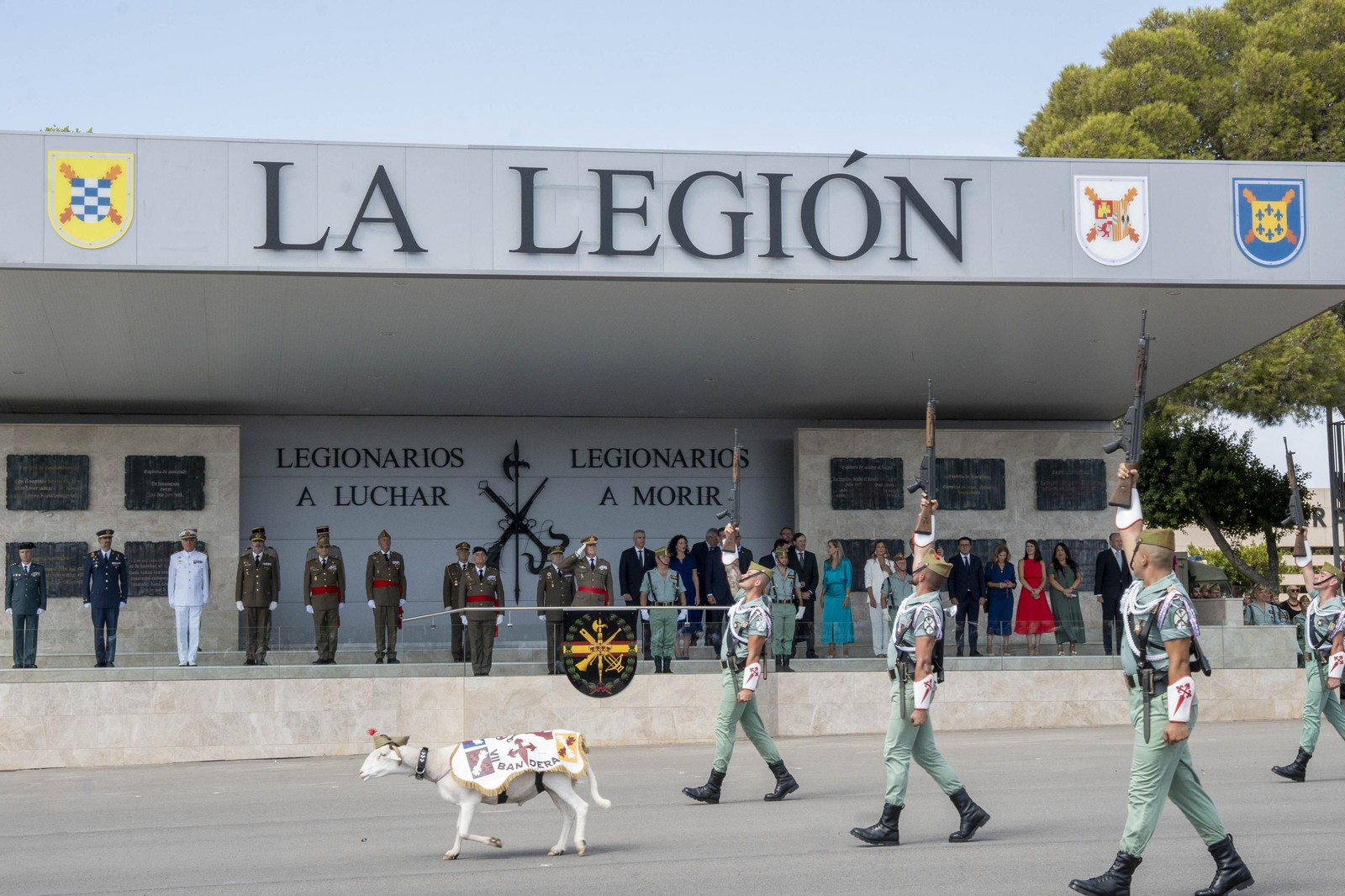 El CV (105) aniversario fundacional de la Legión