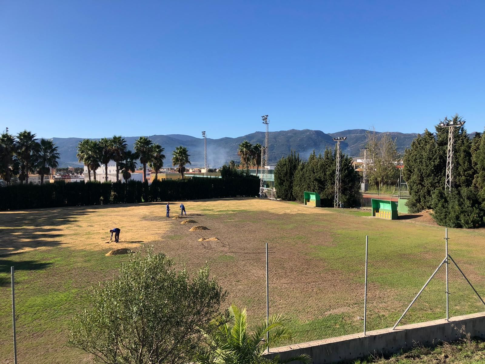 El campo Antonio Gavira, sometido a resiembra