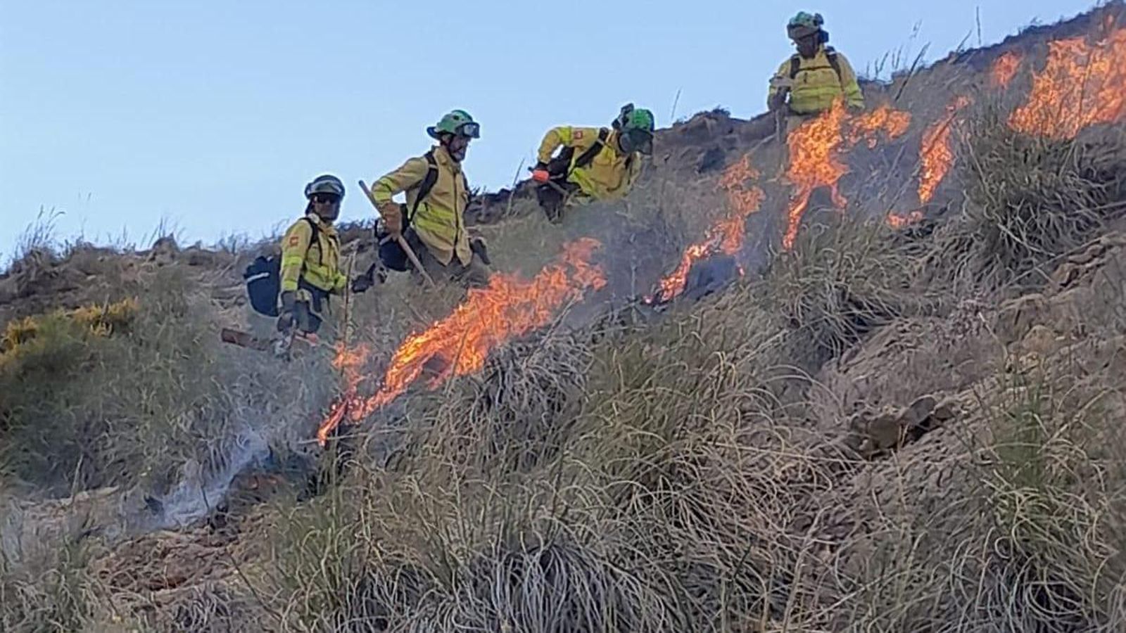 Imágenes del incendio forestal que mantiene en vilo a vecinos de Gádor y Benahadux