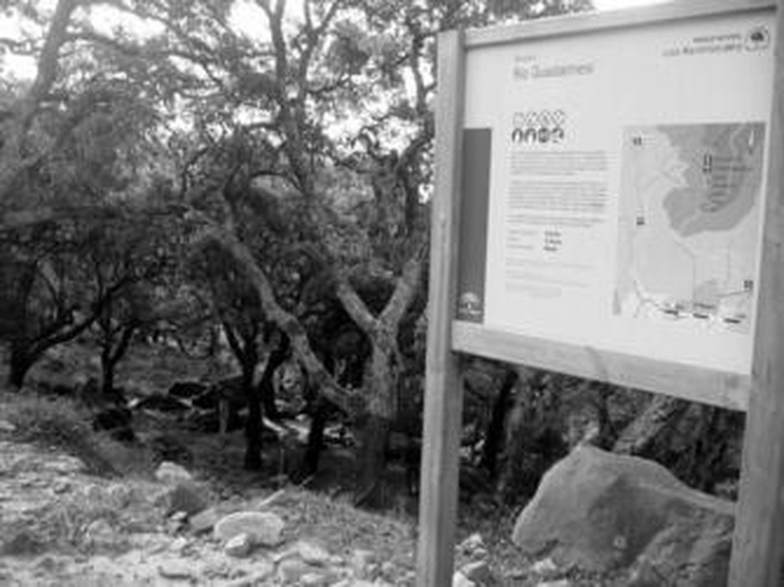 Uno de los carteles que señalizan la ruta del río Guadalmesí dentro del Parque Natural de Los Alcornocales y al fondo senderistas.