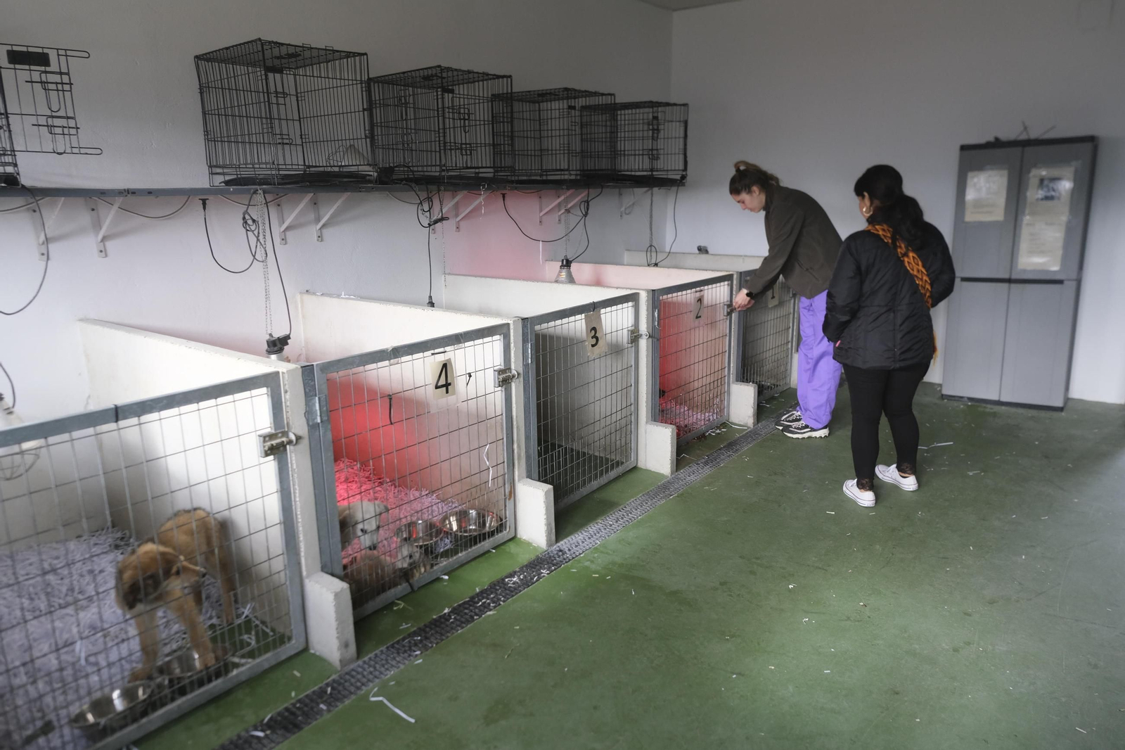 Dependencia del Centro Municipal de Sanidad y Bienestar Animal de Sadeco