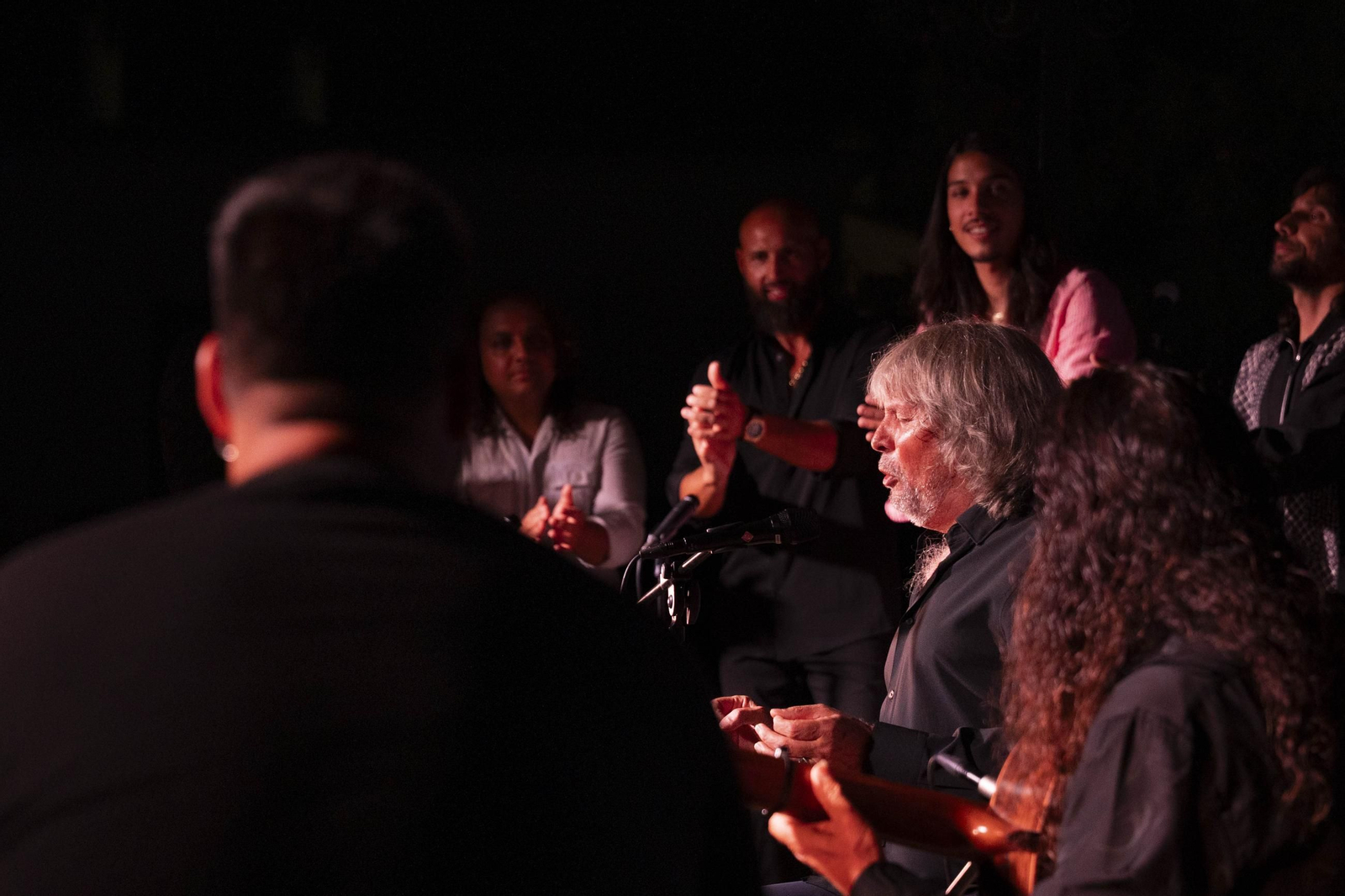 Las mejores imágenes del Festival de Flamenco en Fondón