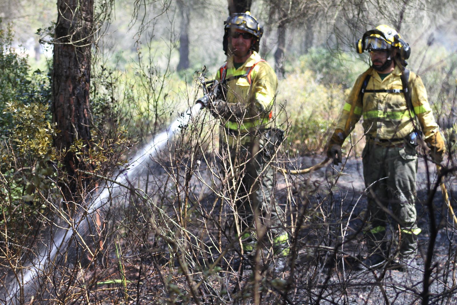 El incendio en el pinar de Roche, en imágenes