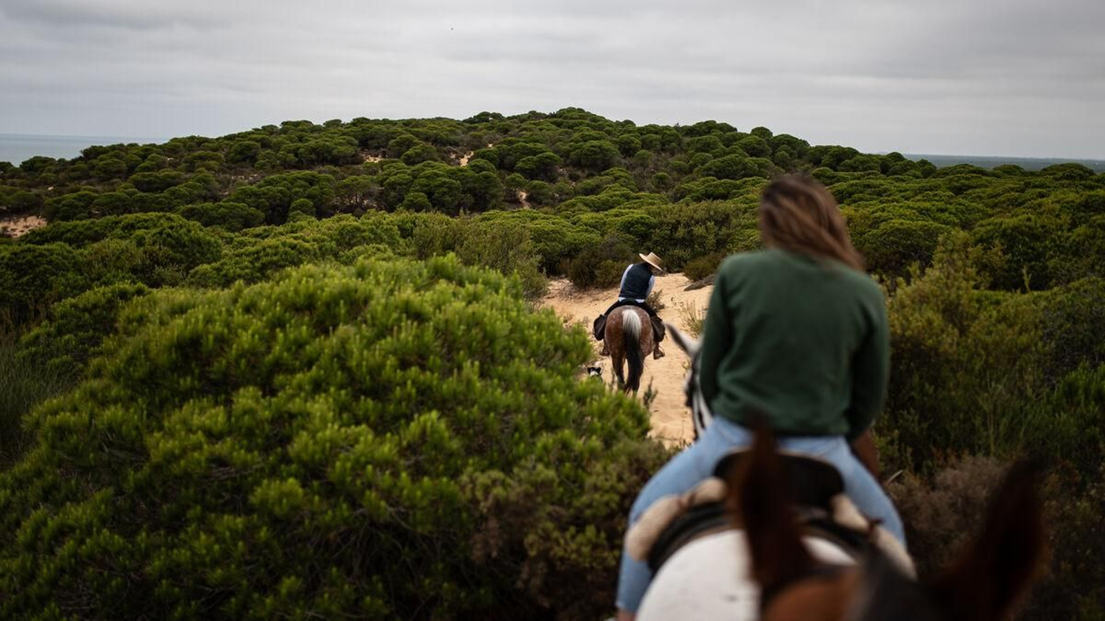 Una ruta a caballo por Doñana
