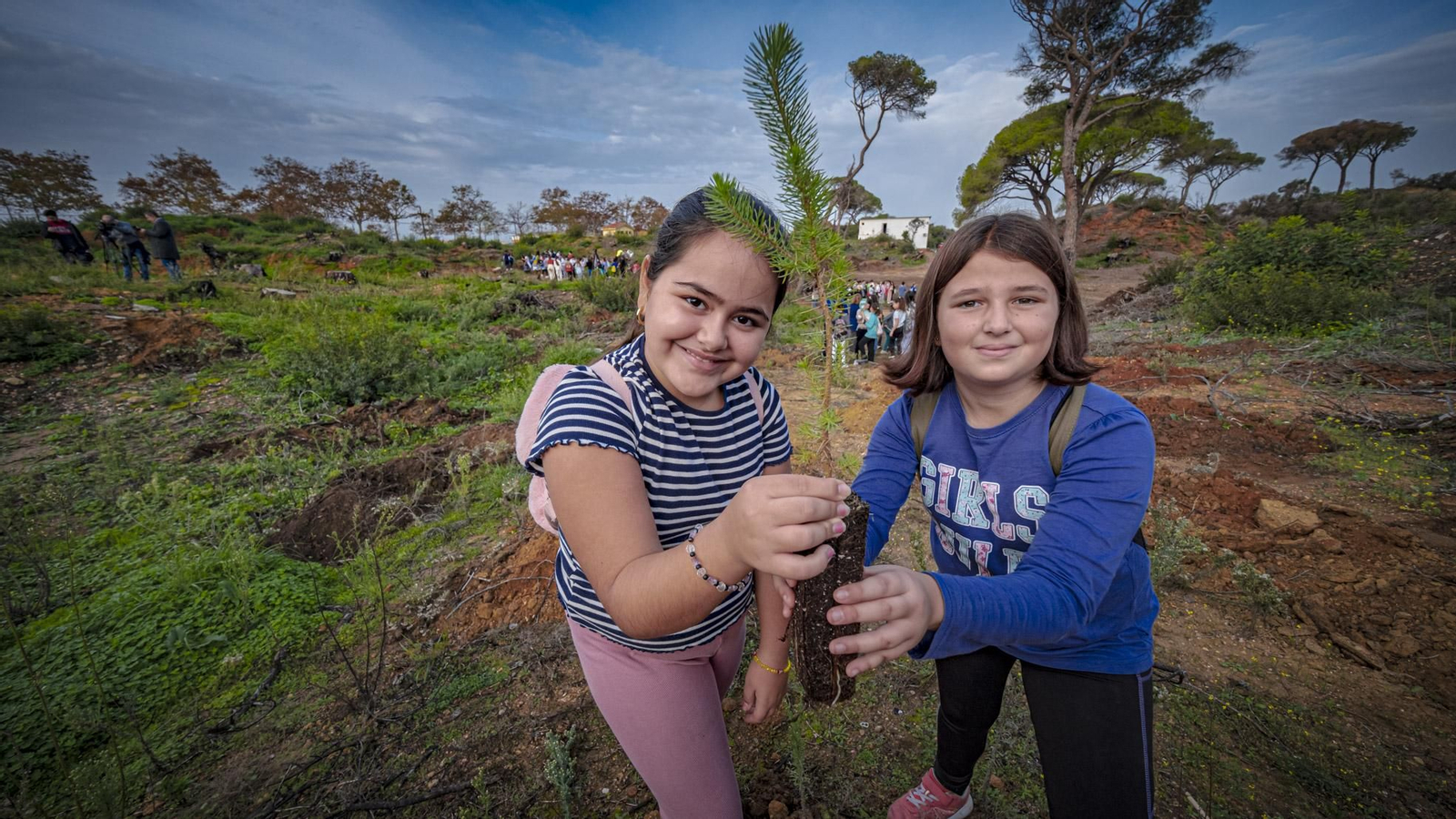 Las imágenes de escolares reforestando el pinar de Las Canteras de Puerto Real.