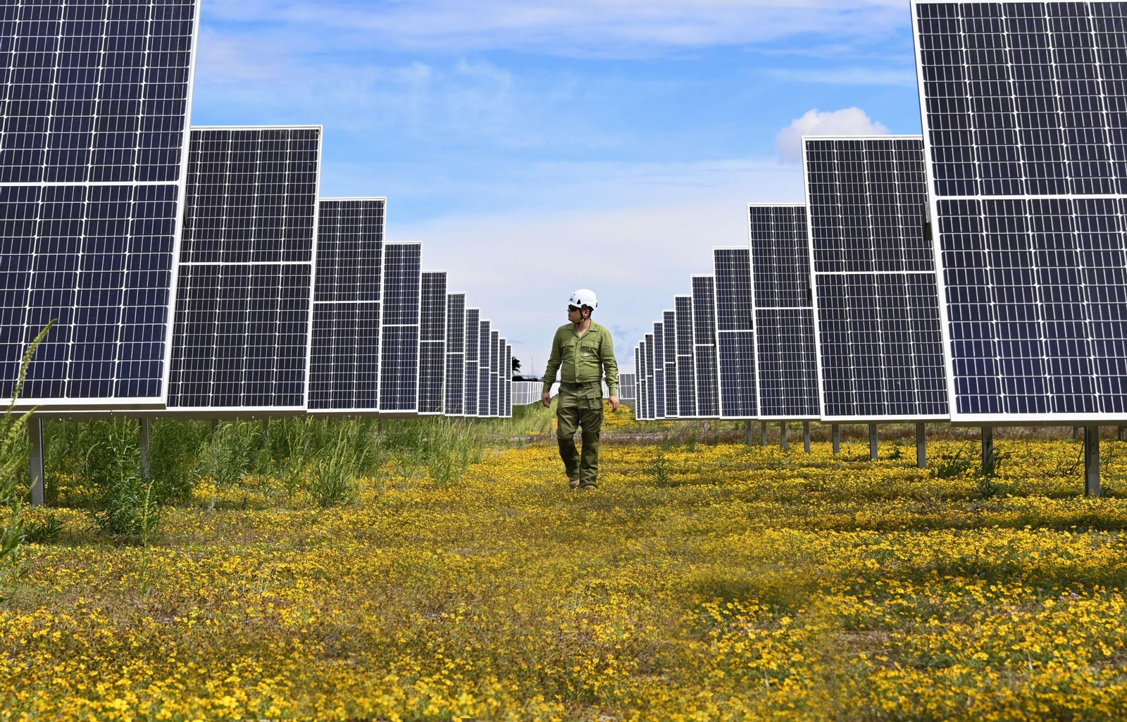 Planta fotovoltaica de Iberdrola en la localidad mexicana de Puebla