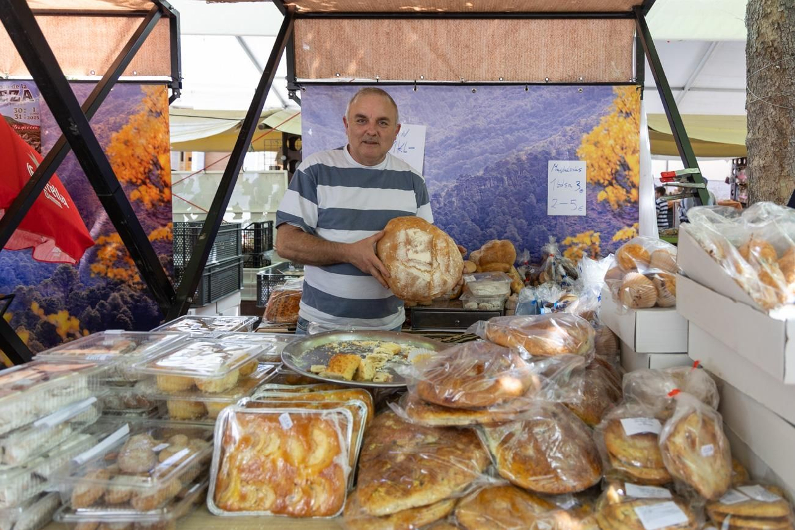 XL Fiesta de la Cereza del Castillo de Locubín