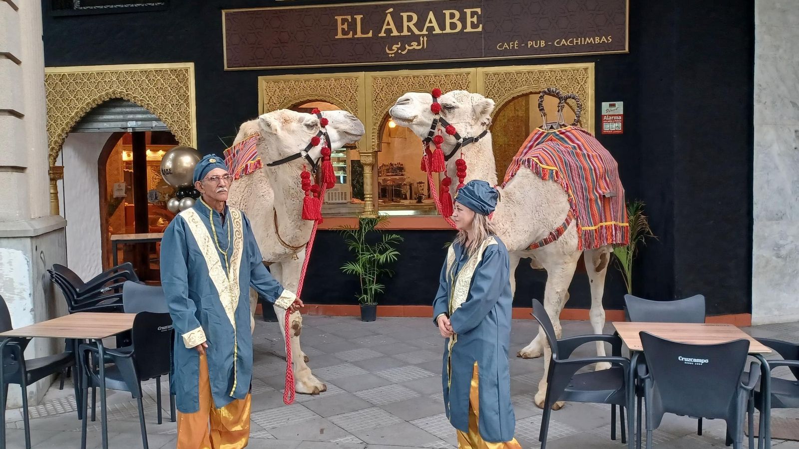 Dos camellos en la inauguración de El Árabe