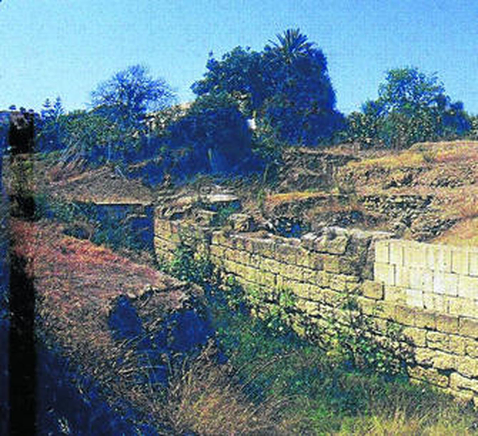 Yacimiento fenicio de Toscanos, en la desembocadura del río Vélez.