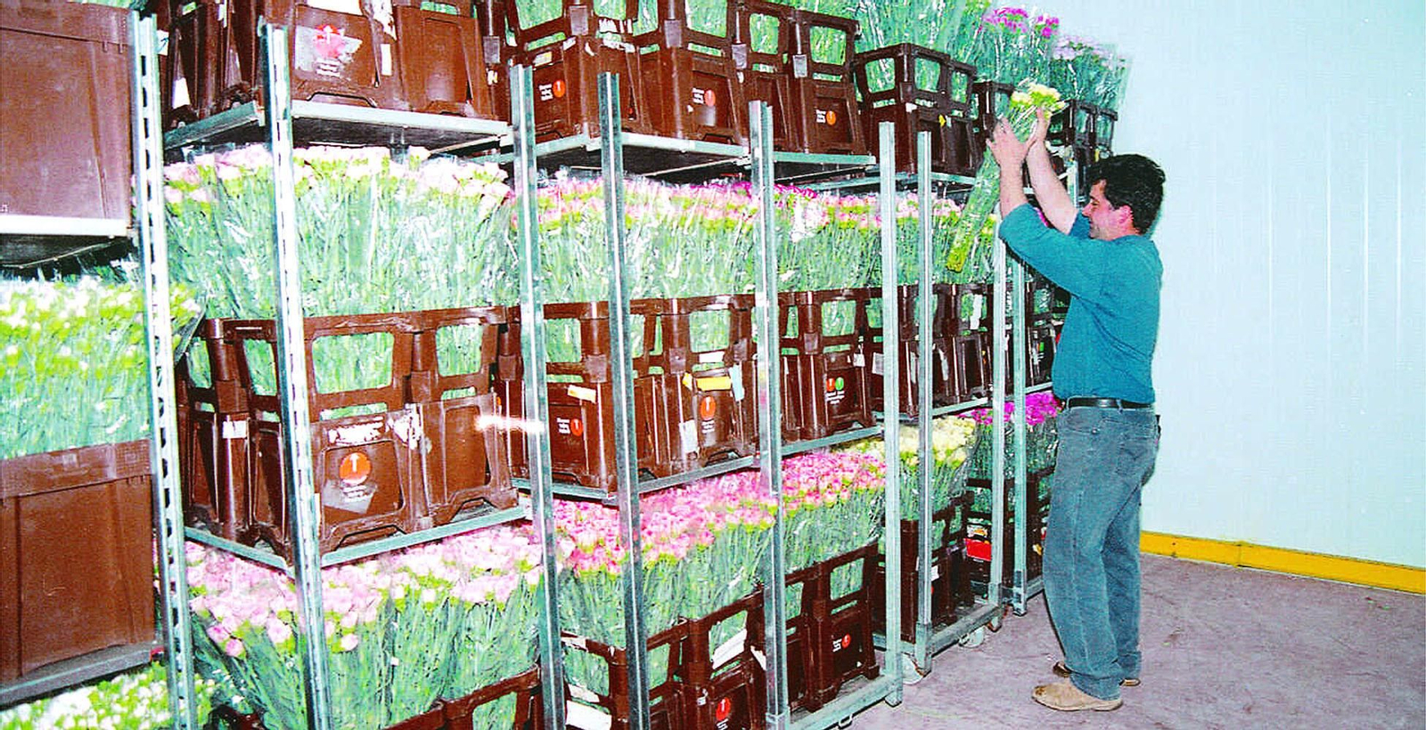 Vivero con flores almacenadas.