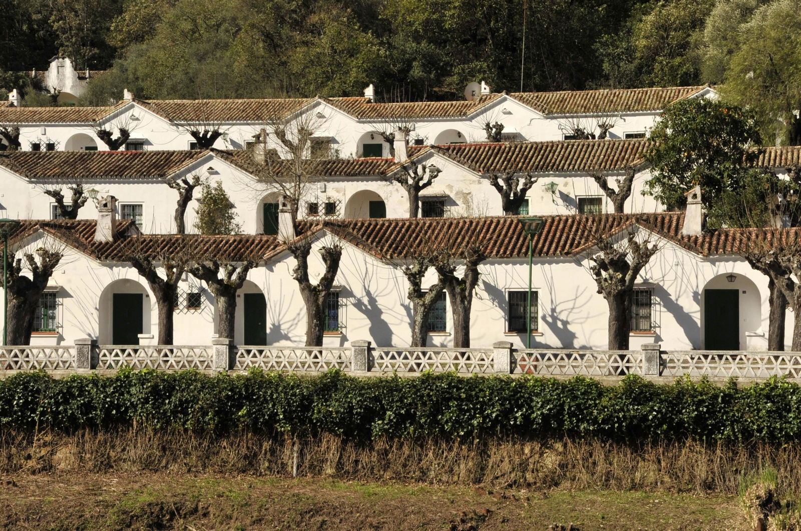 Un paseo por el poblado del pantano de Los Hurones