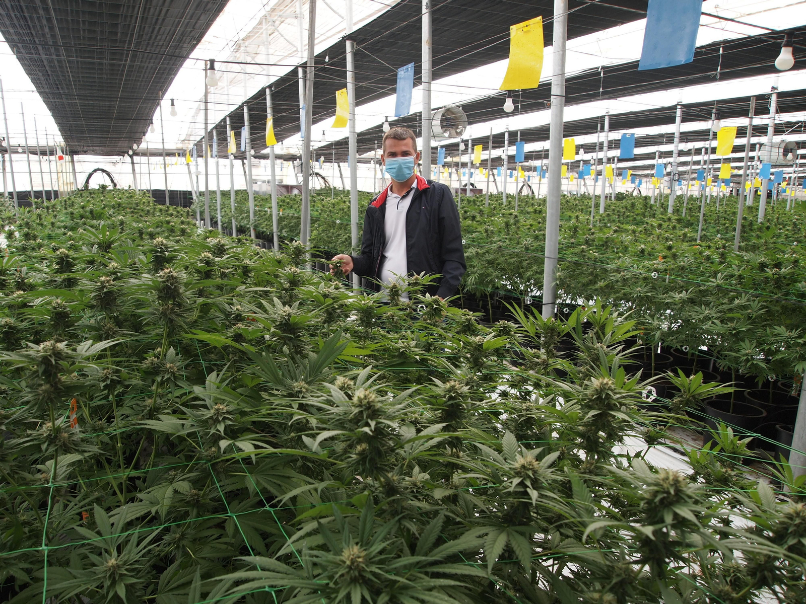 Dumitru Potorac en una de sus fincas en el paraje La Solera