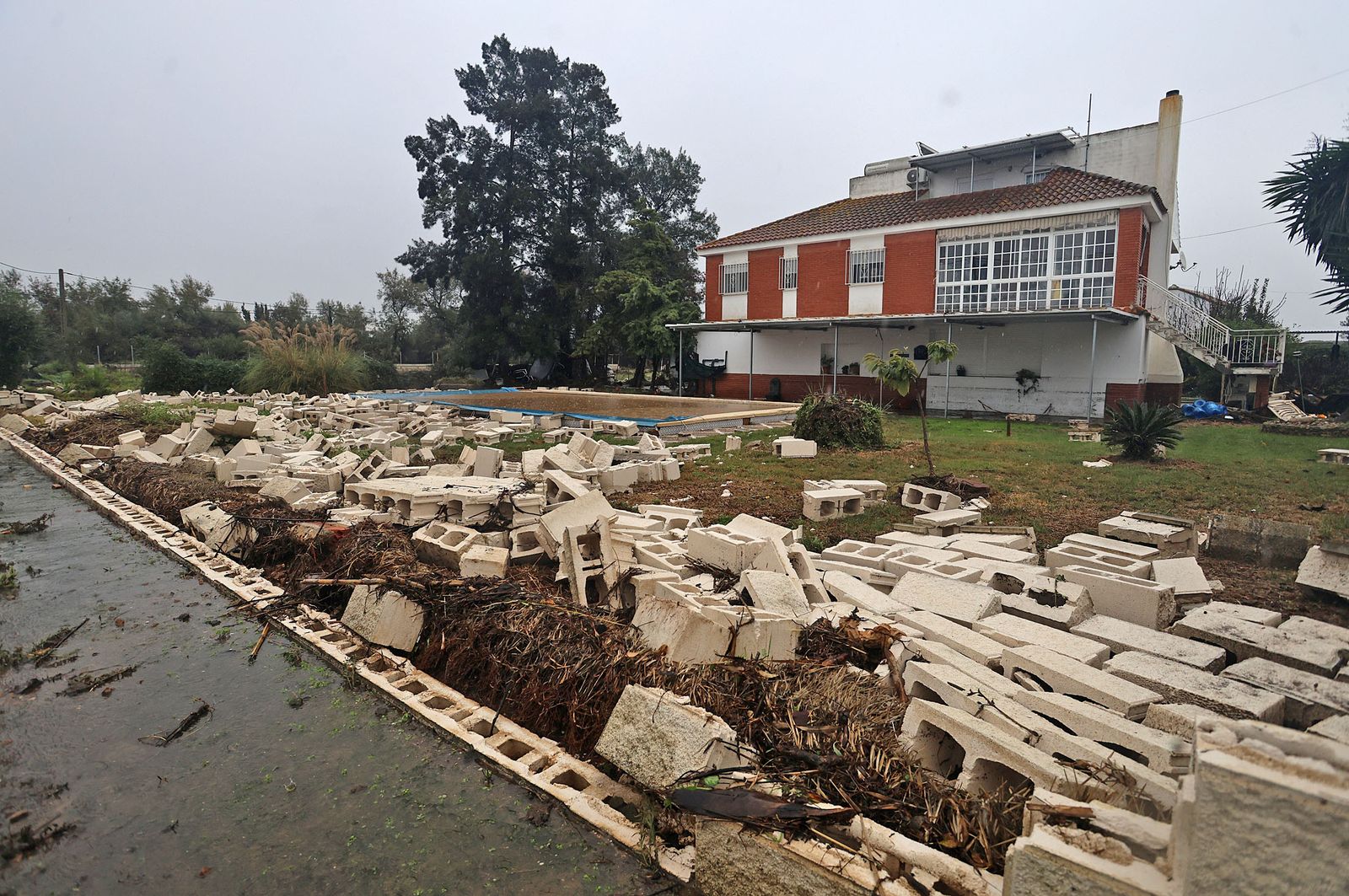 Las mejores imágenes del viernes 1 de noviembre en Huelva