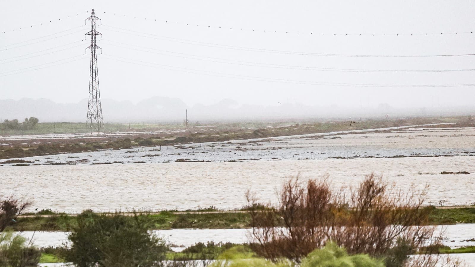 Imágenes de los principales destrozos provocados por la borrasca Leonardo en Cádiz