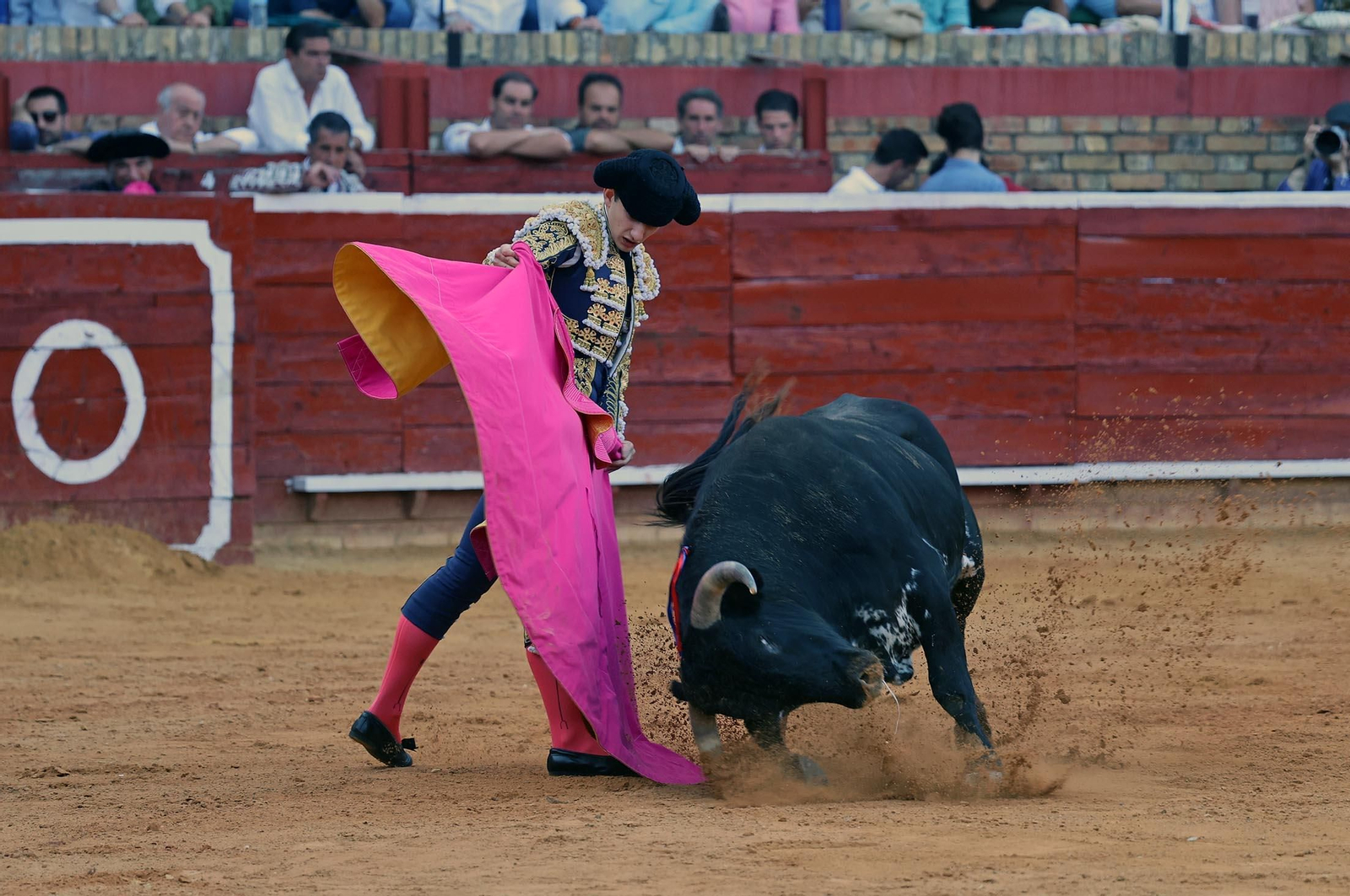 Toros La Merced 2025: Imágenes de la Novillada de Javier Zulueta, Cristian González y Carlos Tirado