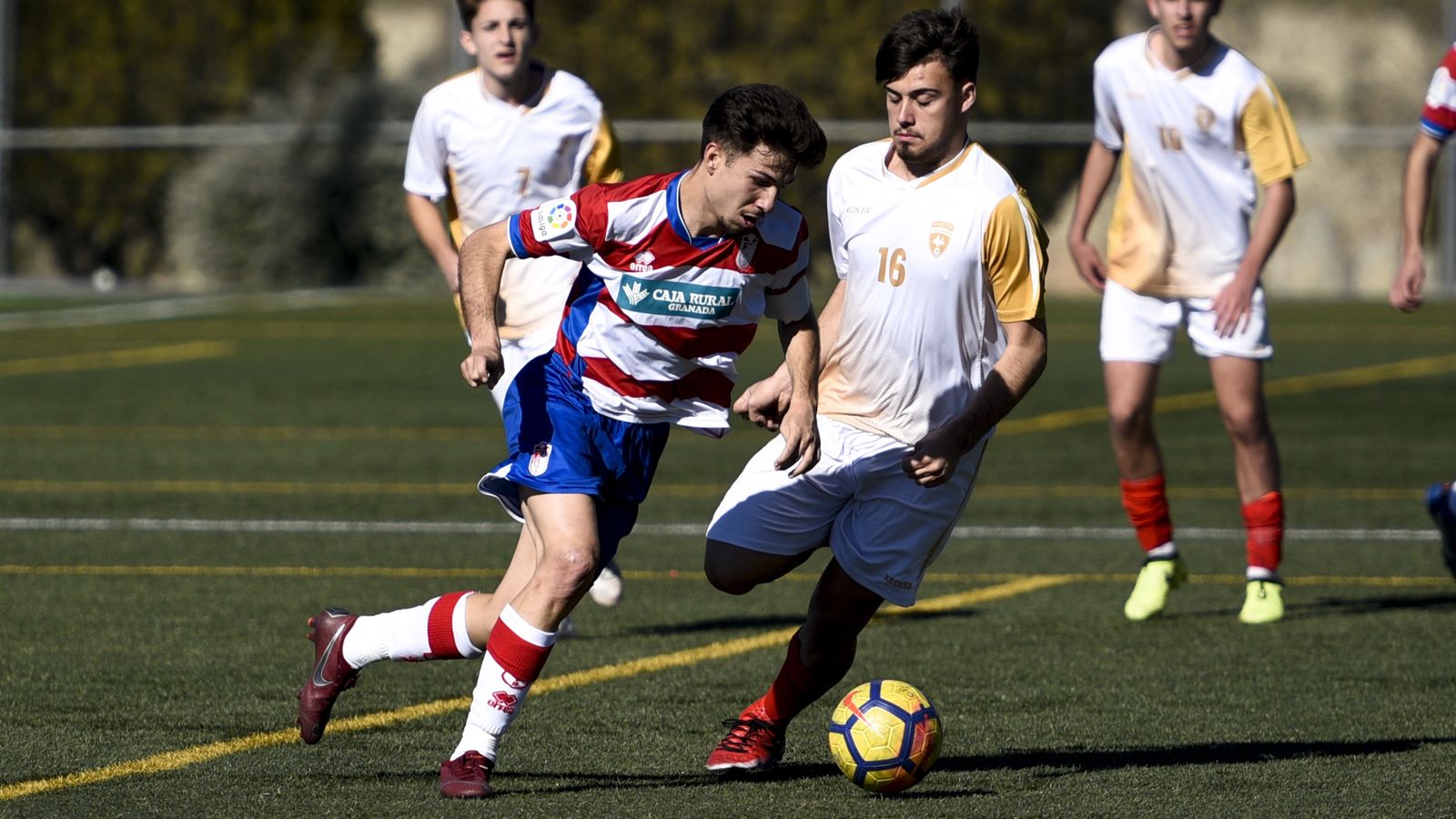 Los granadinistas solventaron el choque sin problemas