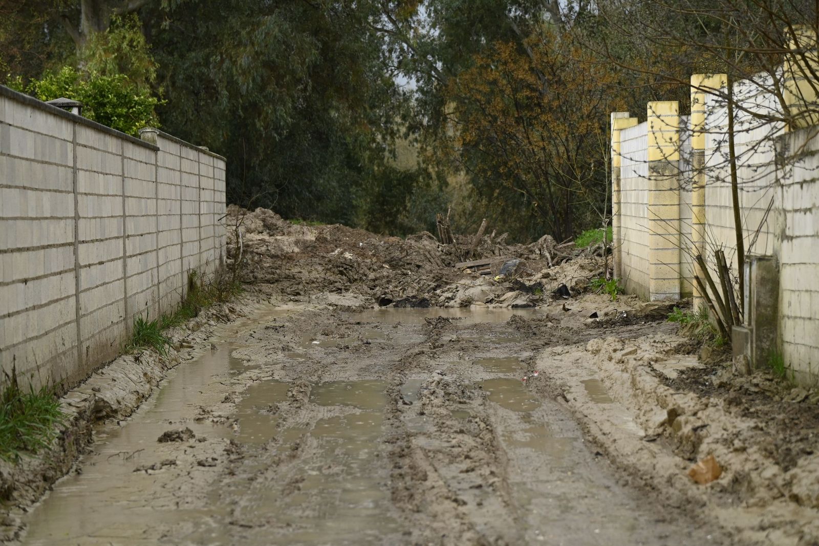 Parcelas de Guadalvalle siguen anegadas por el barro un mes después de las inundaciones