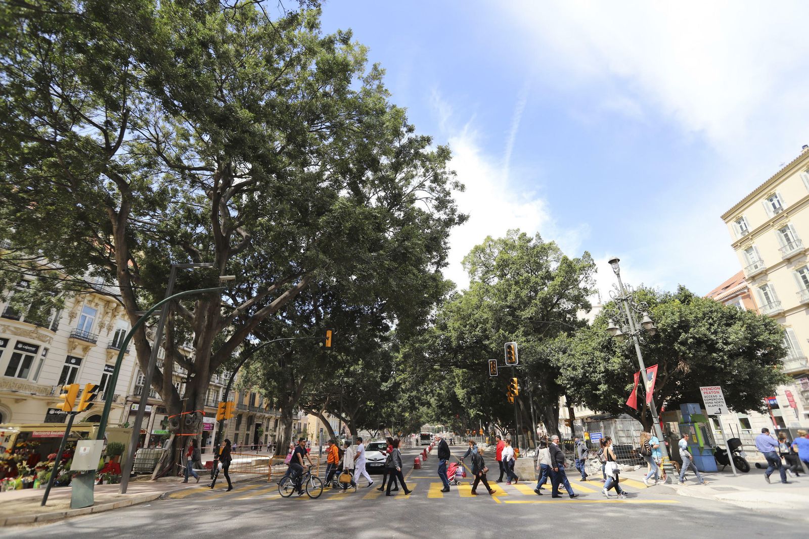 Las fotos en la cuenta atrás para la nueva Alameda Principal