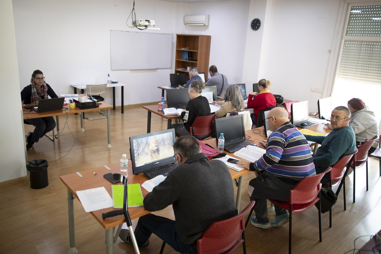Fotos de Aspace Granada, Premio Imprescindible por su dedicación a la parálisis cerebral