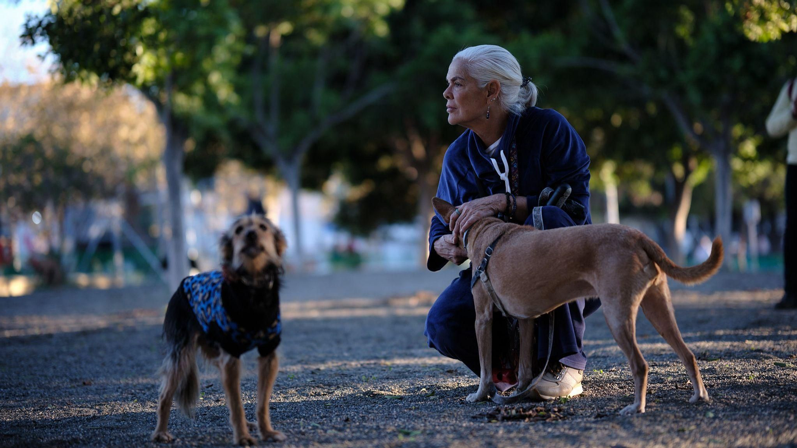 Parque canino en Finca La Palma, Teatinos