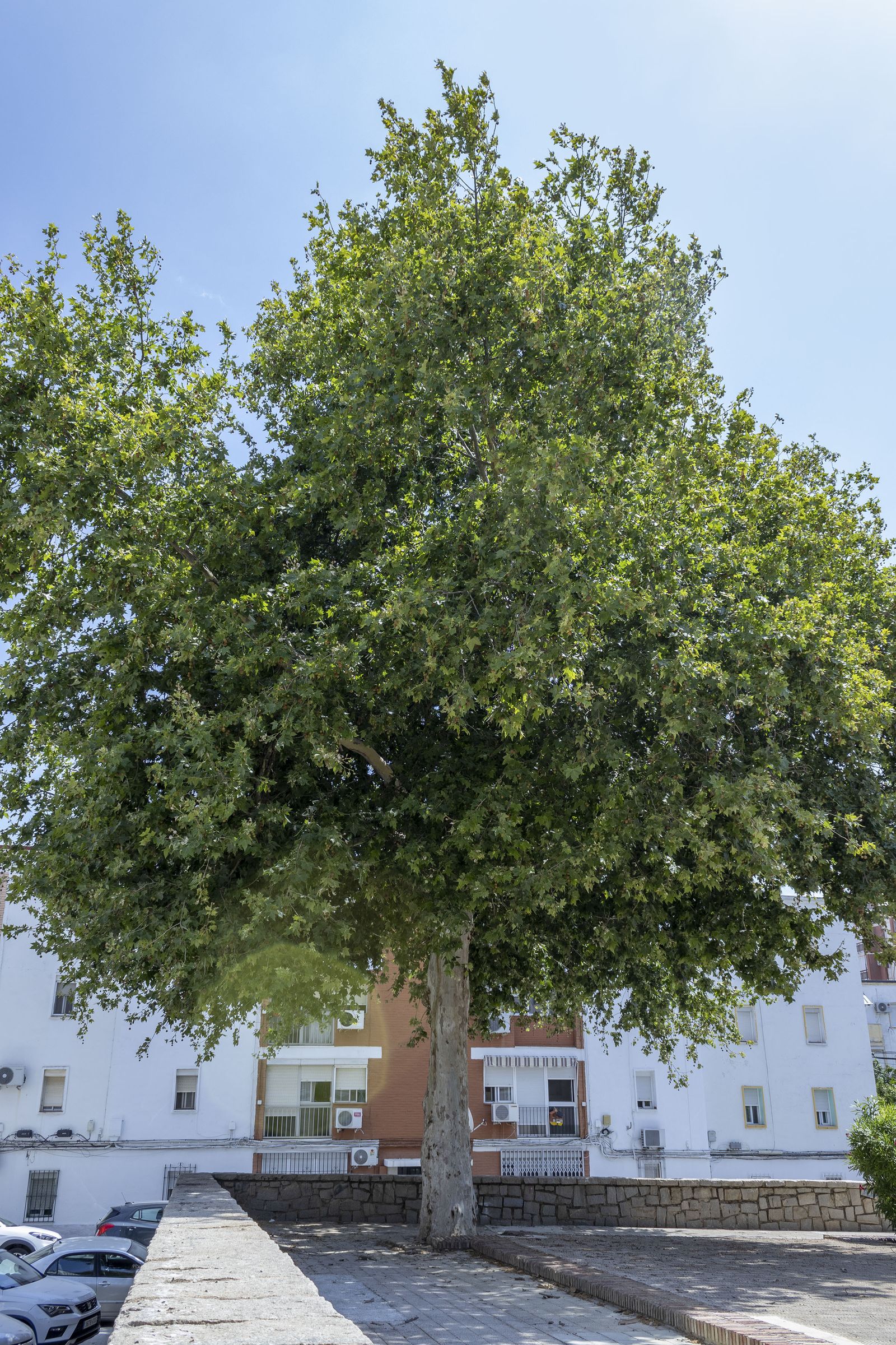 Huelva barrio a barrio: Imágenes de la Barriada de Guadalupe