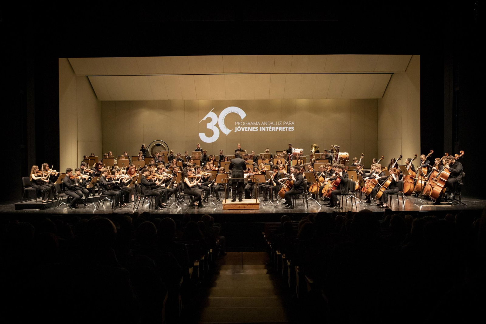 Orquesta Joven Andalucia en una imagen de archivo.