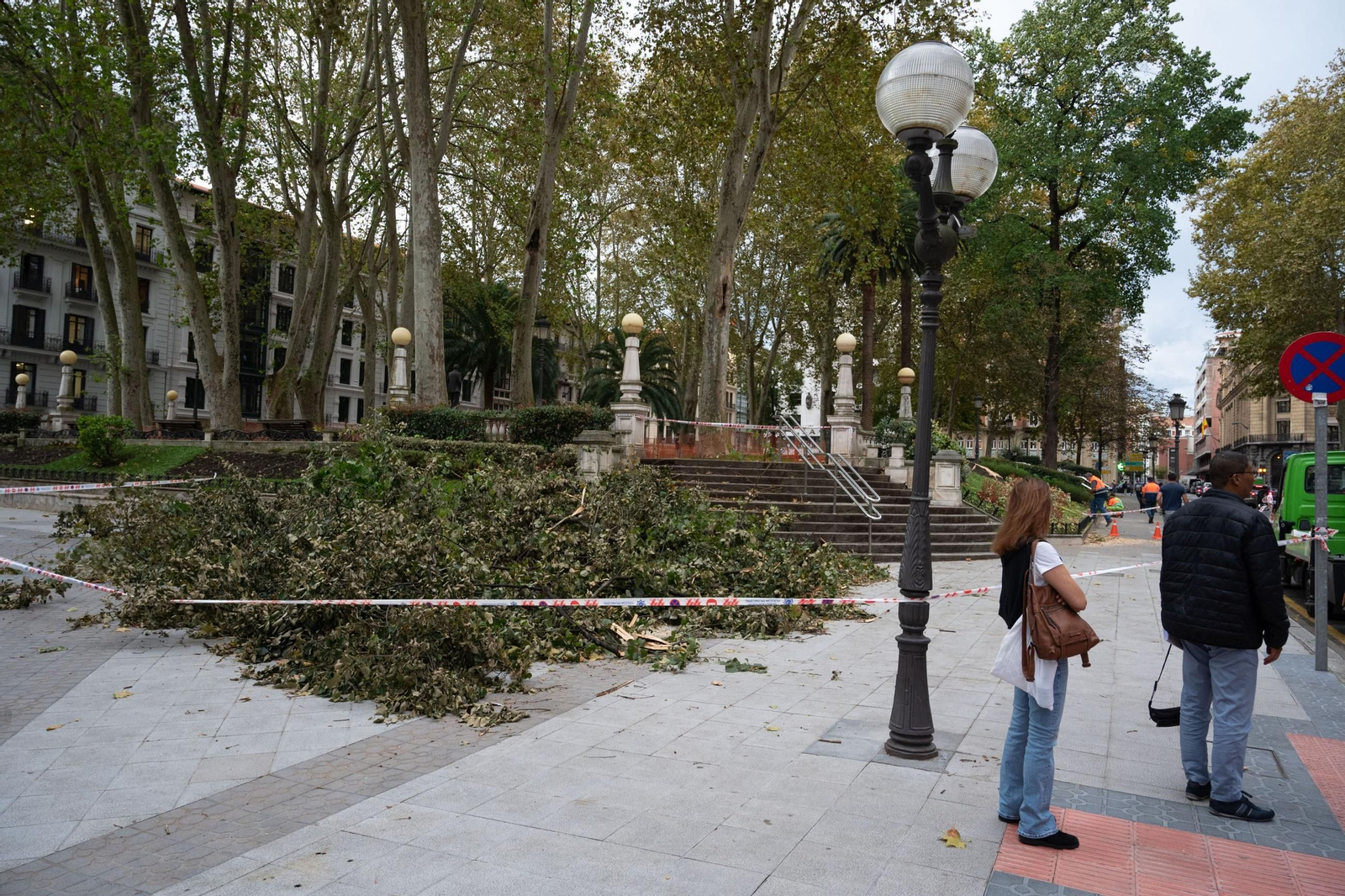 Árboles caídos en Bilbao.