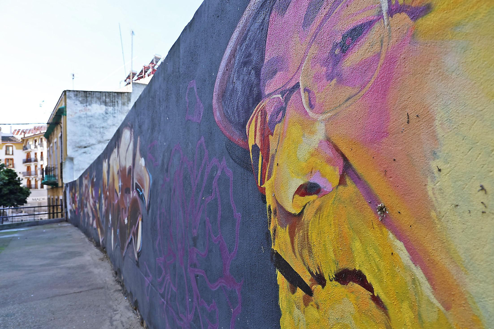 Las imágenes más destacadas del domingo 12 de enero en Huelva