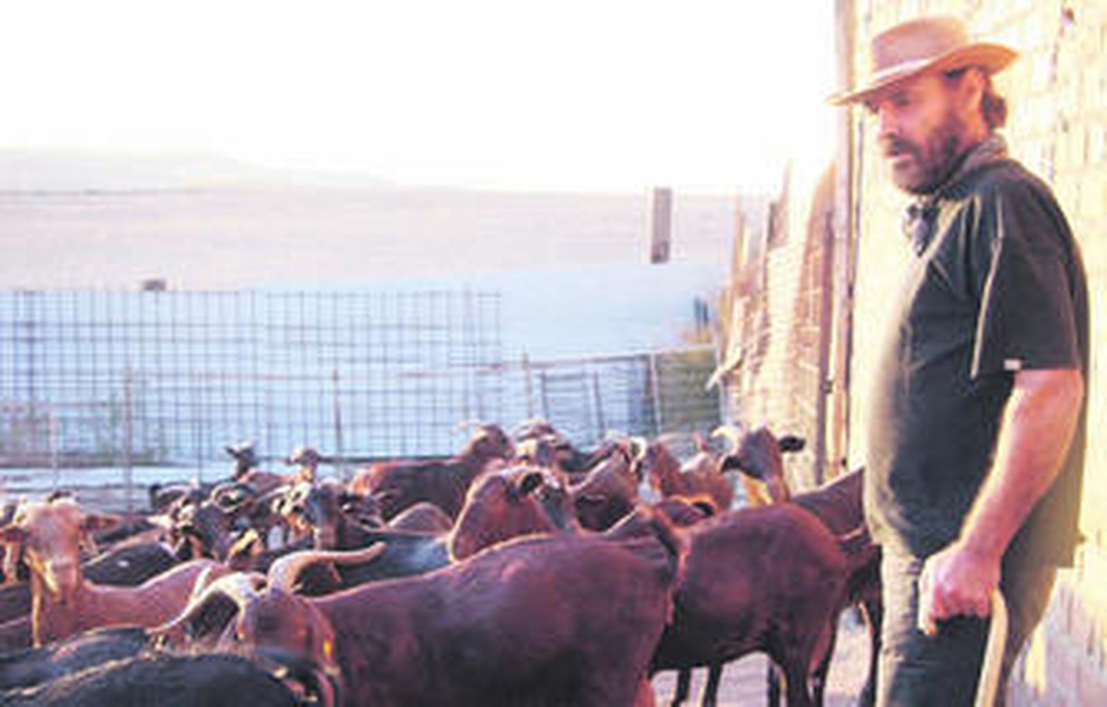 El cantaor sevillano, en su finca, junto a sus animales.