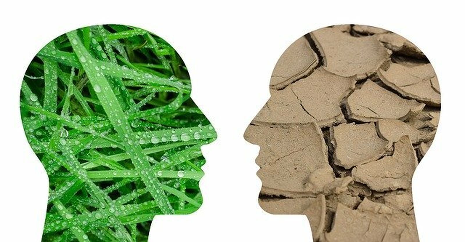 ¿Cómo afecta el cambio climático a nuestra salud directa e indirectamente? Estas son las consecuencias