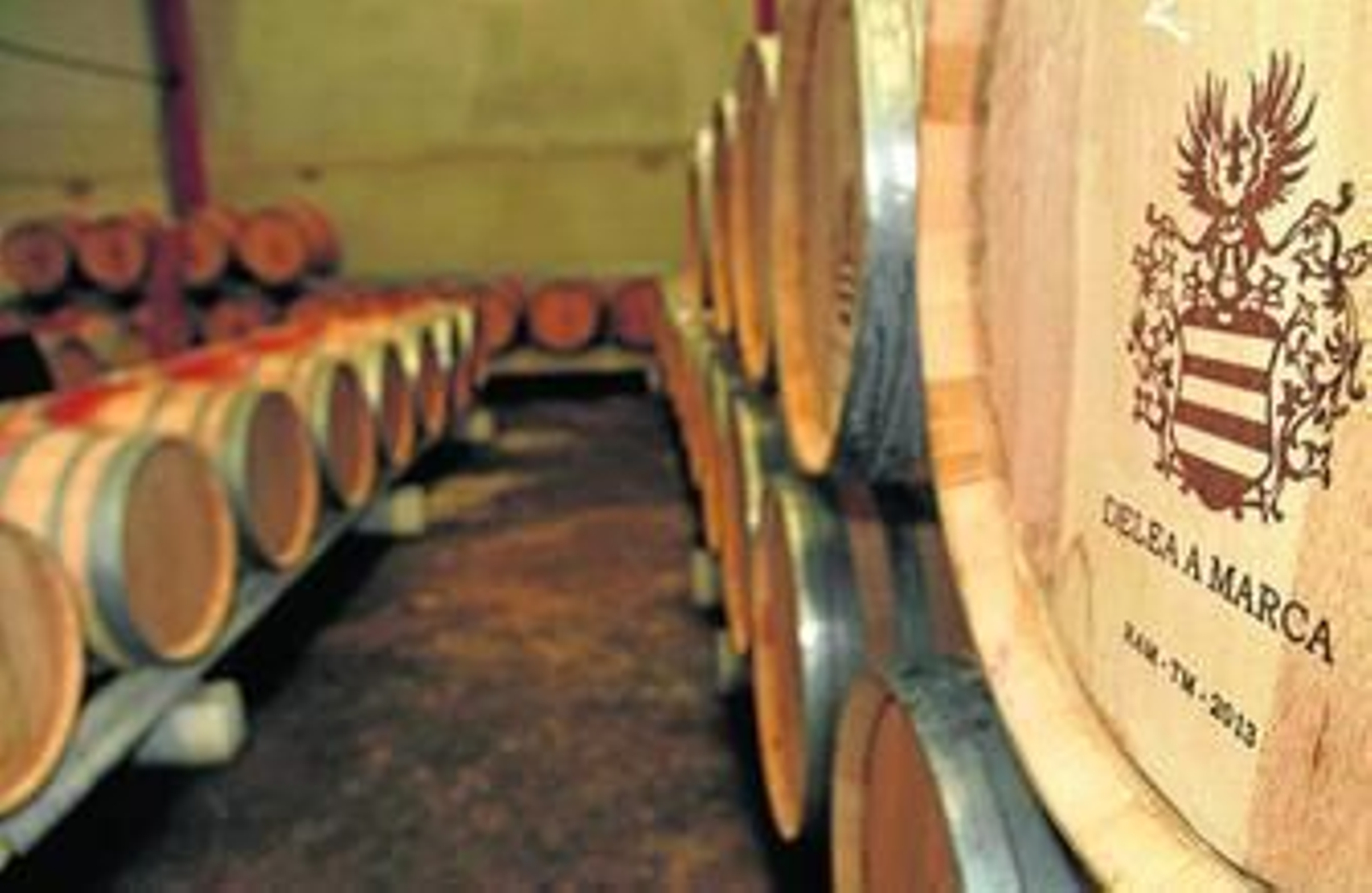 Barricas con la enseña de Bodegas Delea a Marca.